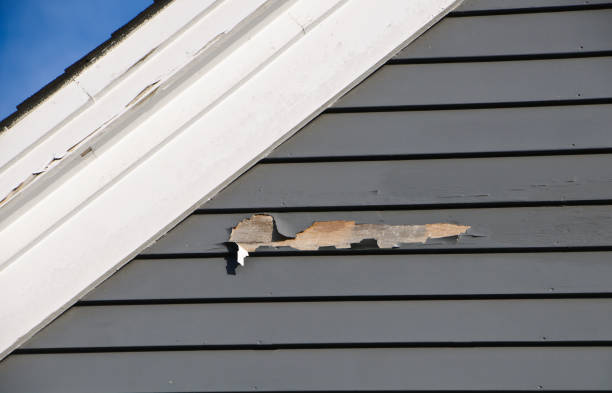 Best Insulated Siding Installation  in Danville, PA